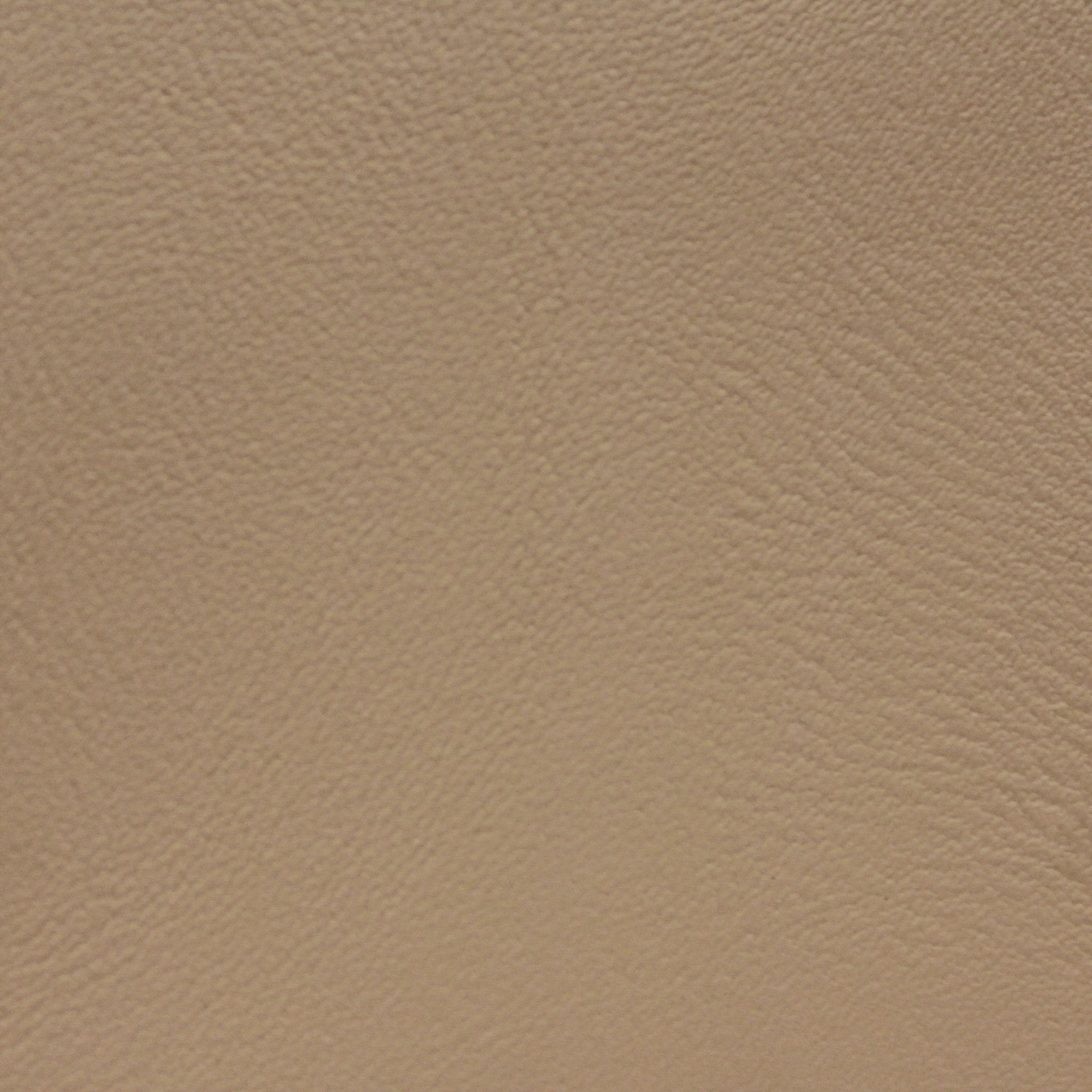 #color_tan